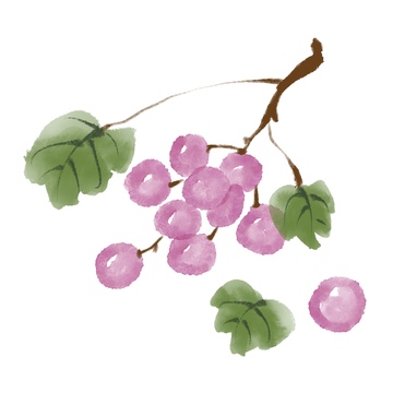 国风水墨风格水墨水果葡萄免抠元素