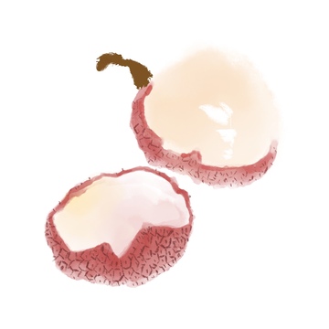 水墨美味水果荔枝免抠元素