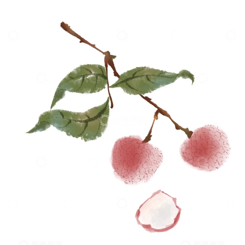 源文件下载【趣麦麦图】-水墨风格可口水果荔枝免抠元素