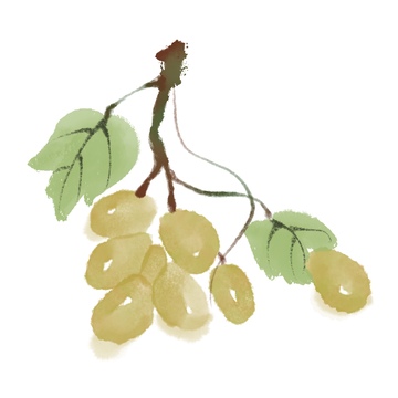 水墨风美味水果葡萄免抠元素