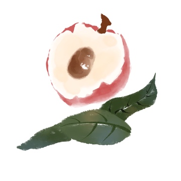 国风水墨风格美味水果荔枝免抠元素