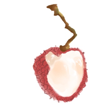 国风水墨美味水果荔枝免抠元素