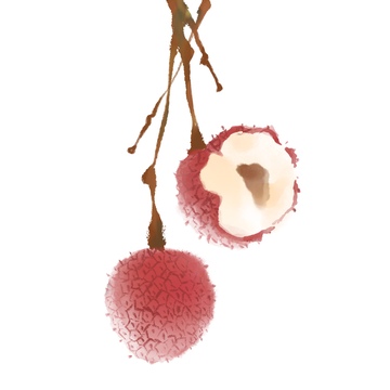 水墨风格水果荔枝免抠元素