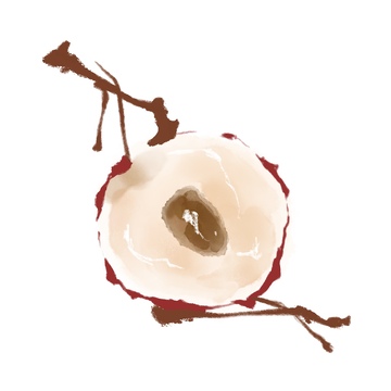 国风水墨风格水果荔枝免抠元素