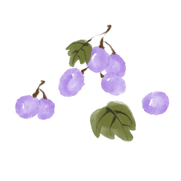 水墨风格水果美味葡萄免抠元素