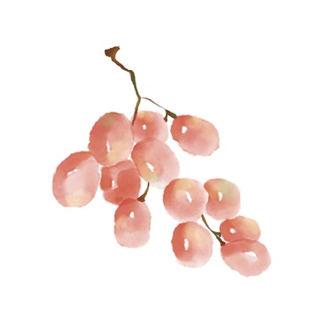 水墨风水果葡萄免抠元素