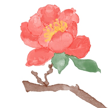 水彩石榴花元素