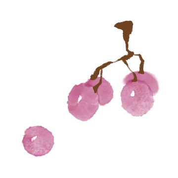 国风水墨美味水果葡萄免抠元素