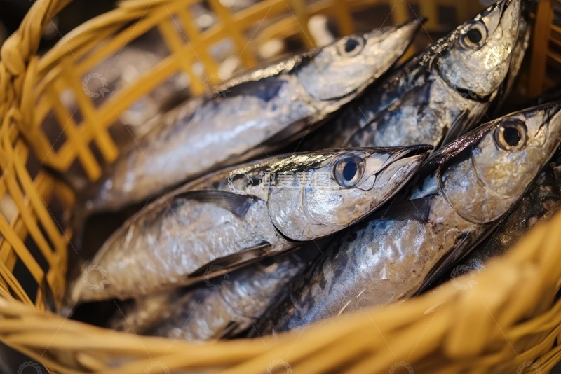 高清大图下载【趣麦麦图】一筐子新鲜的海鱼