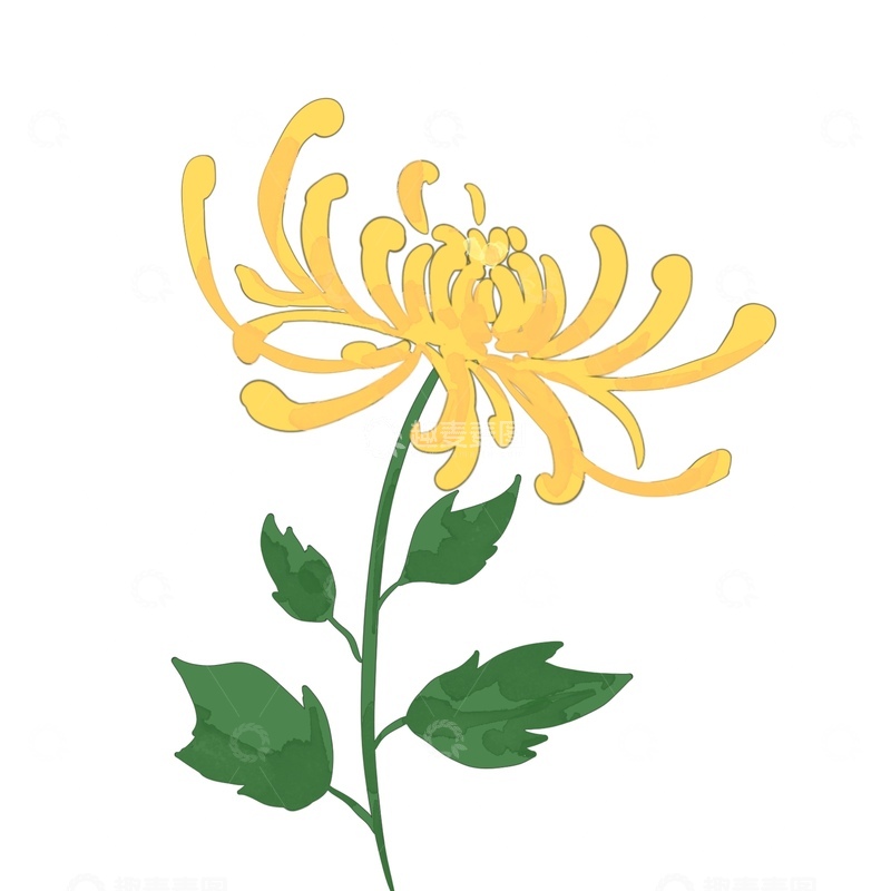 源文件下载【趣麦麦图】国风水墨植物菊花免抠元素