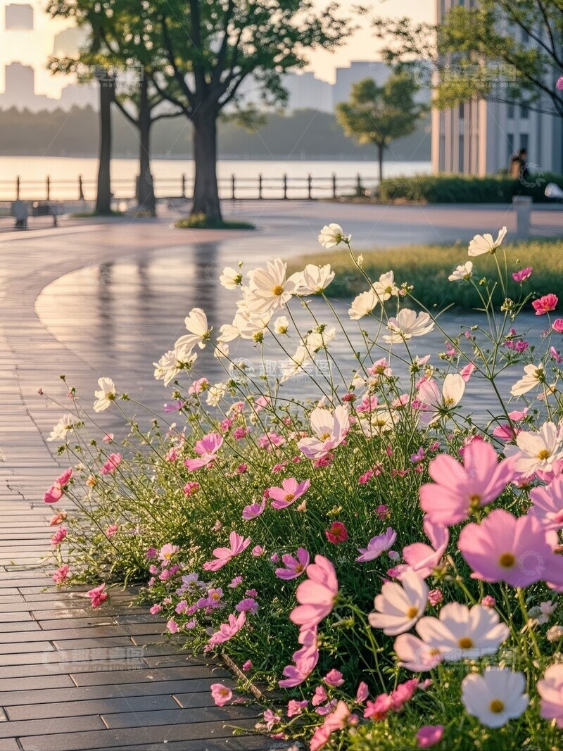 高清大图下载【趣麦麦图】公园小径旁的缤纷花丛