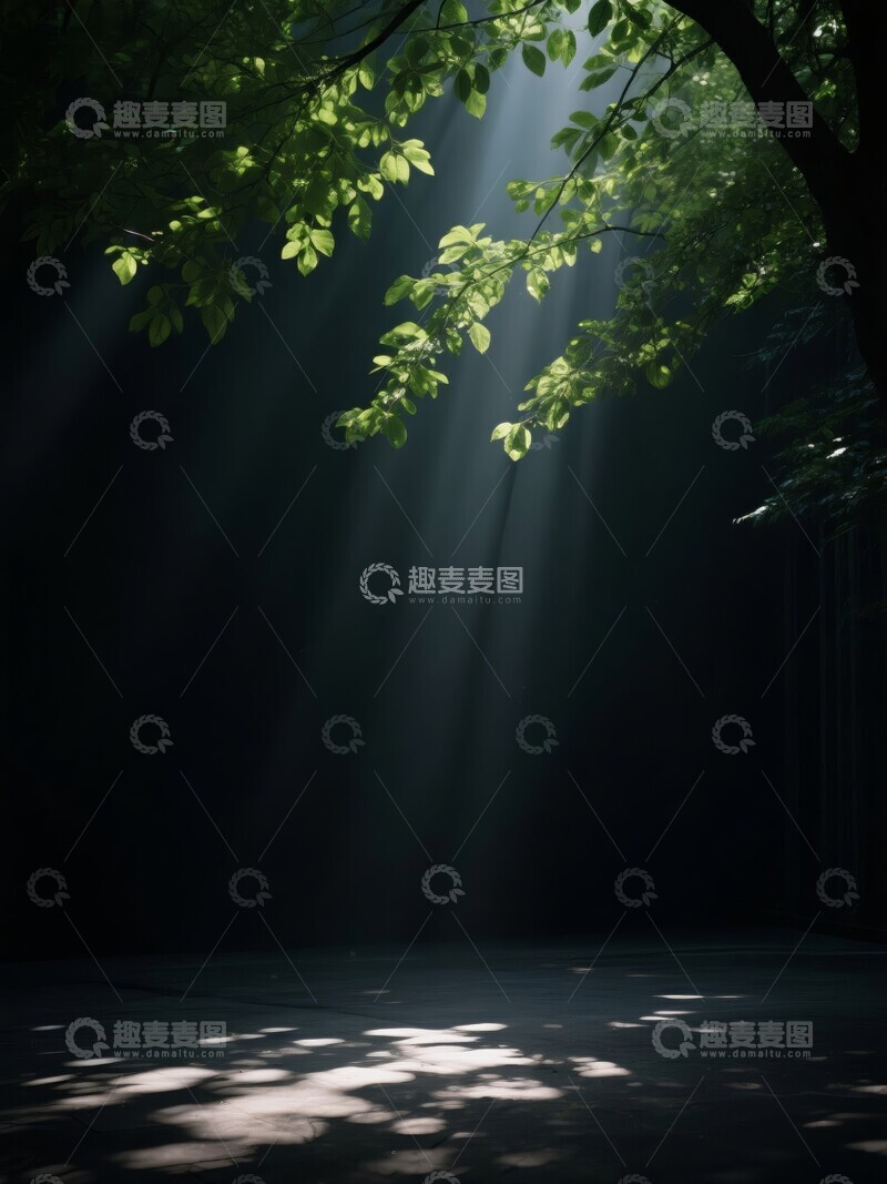 高清大图下载【趣麦麦图】阳光穿透树叶洒在幽暗地面上