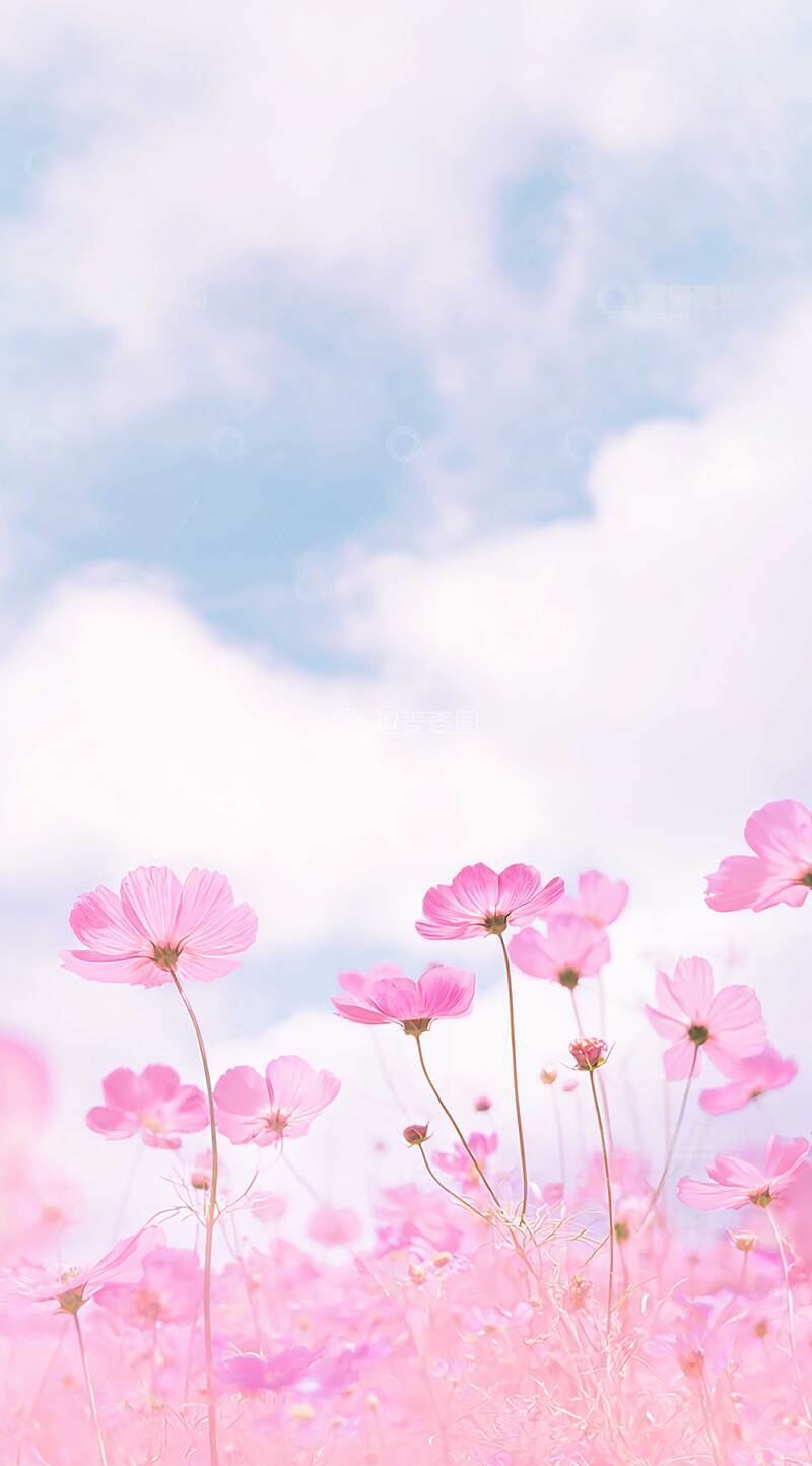 高清大图下载【趣麦麦图】花  玉骨  嫣红