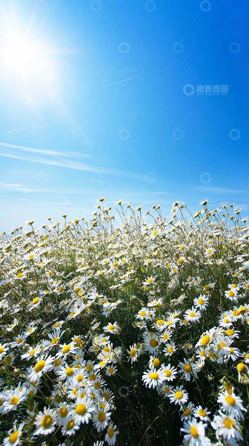 高清大图下载【趣麦麦图】花  娇艳  缤纷