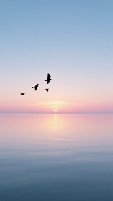 落日飞鸟海面诗意黄昏