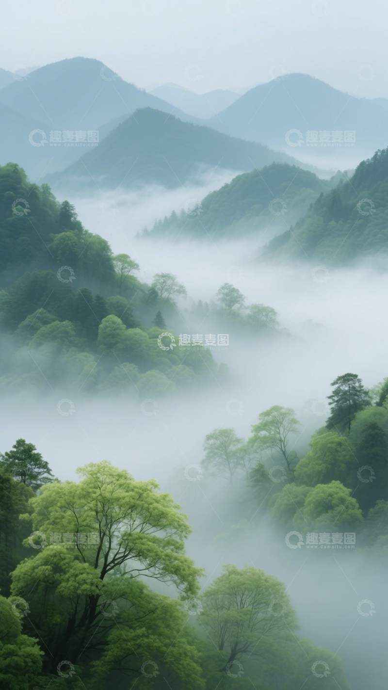 高清大图下载【趣麦麦图】雾中山林宁静治愈美好1