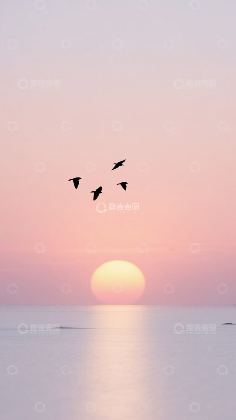 高清大图下载【趣麦麦图】-落日飞鸟海面诗意黄昏1