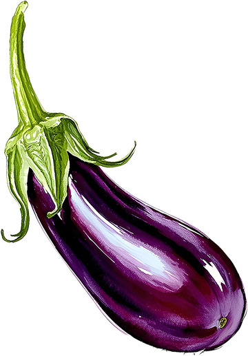 茄子写实插画免抠素材