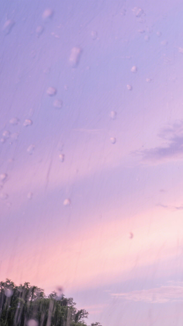 粉紫雨景浪漫诗意清新1