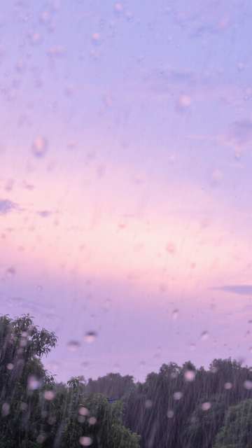 粉紫雨景浪漫诗意清新