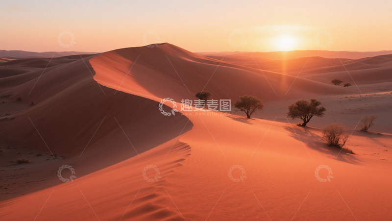 日落沙漠风景商业照片