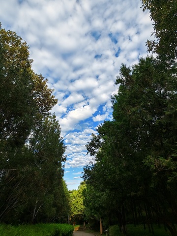 鹫峰一蓝天白云高山3