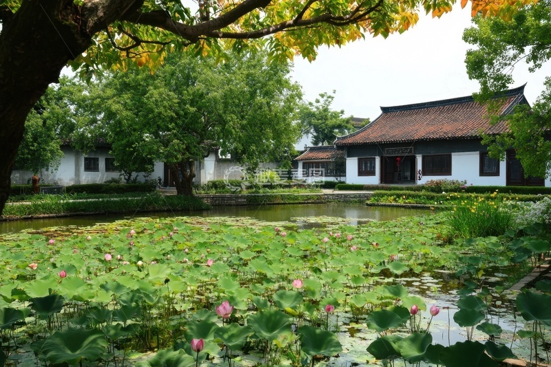 高清大图下载【趣麦麦图】-园林荷塘房屋建筑