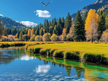 秋天的河流景色