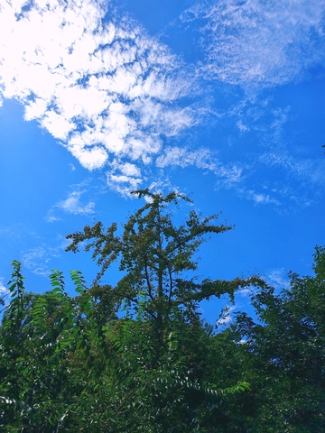 鹫峰，蓝天，白云，9