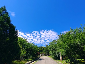 鹫峰，蓝天，白云，6