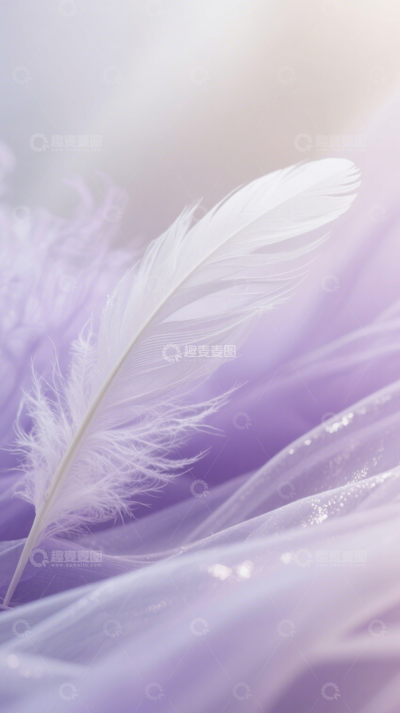 高清大图下载【趣麦麦图】羽毛轻纱梦幻浪漫诗意3