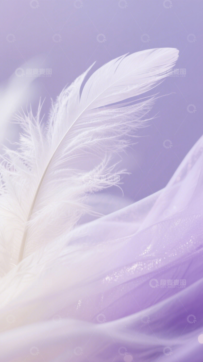 高清大图下载【趣麦麦图】羽毛轻纱梦幻浪漫诗意1