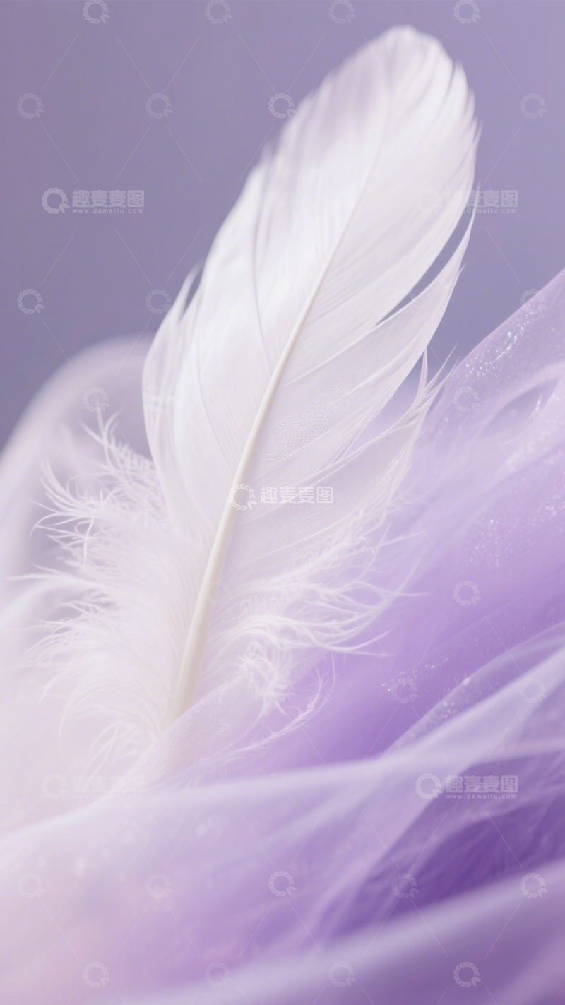 高清大图下载【趣麦麦图】羽毛轻纱梦幻浪漫诗意2