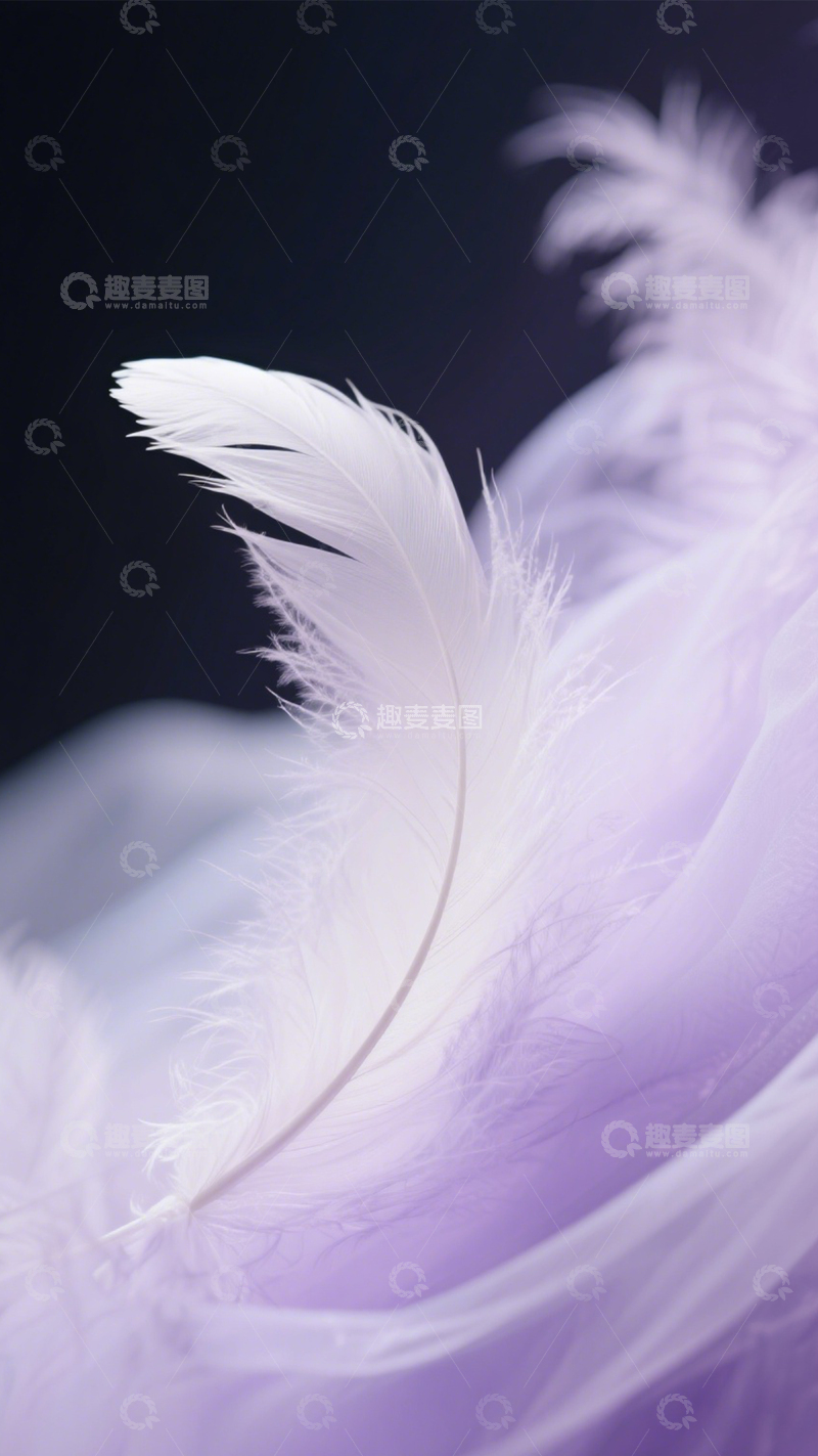 高清大图下载【趣麦麦图】羽毛轻纱梦幻浪漫诗意