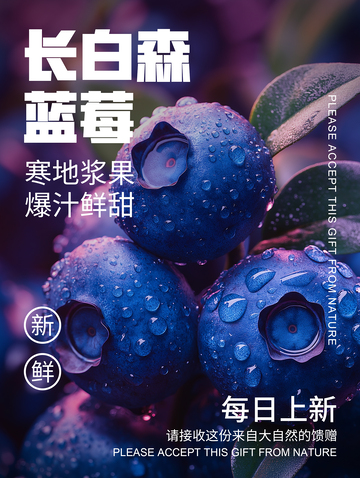 蓝莓简约水果宣传海报