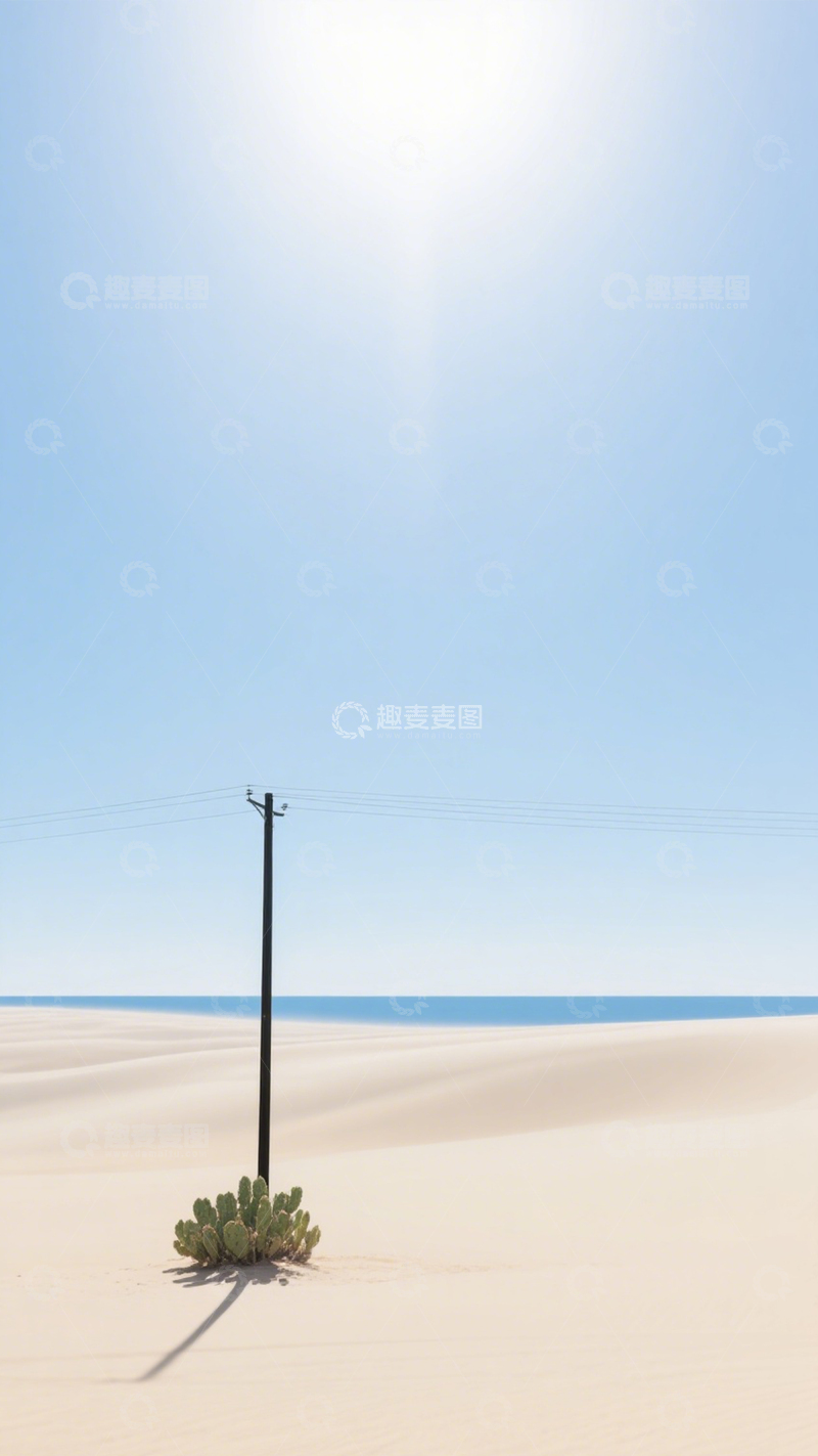 高清大图下载【趣麦麦图】沙漠孤影仙人掌极简空旷2