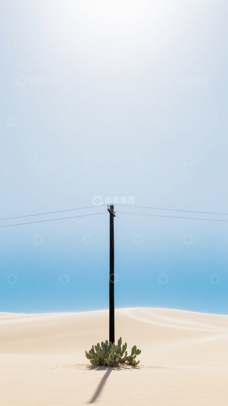 高清大图下载【趣麦麦图】沙漠孤影仙人掌极简空旷3