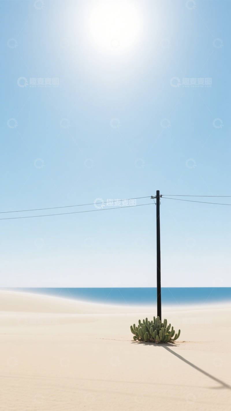 高清大图下载【趣麦麦图】沙漠孤影仙人掌极简空旷1