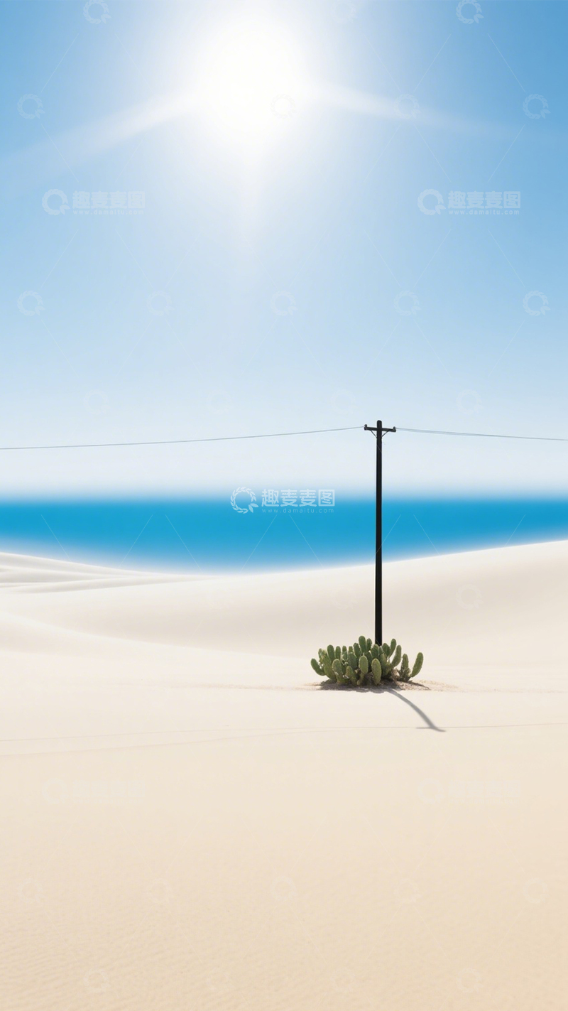 高清大图下载【趣麦麦图】沙漠孤影仙人掌极简空旷