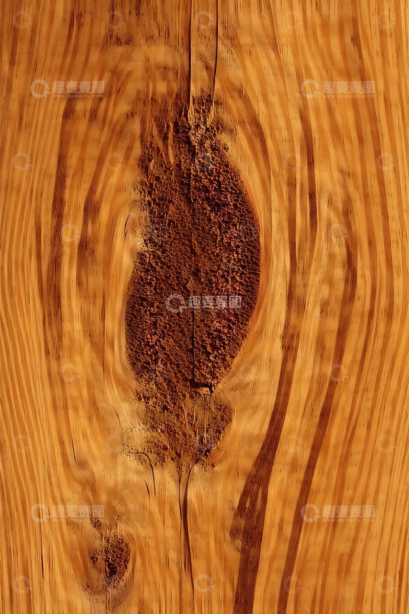 高清大图下载【趣麦麦图】木切面木纹木头木板图案