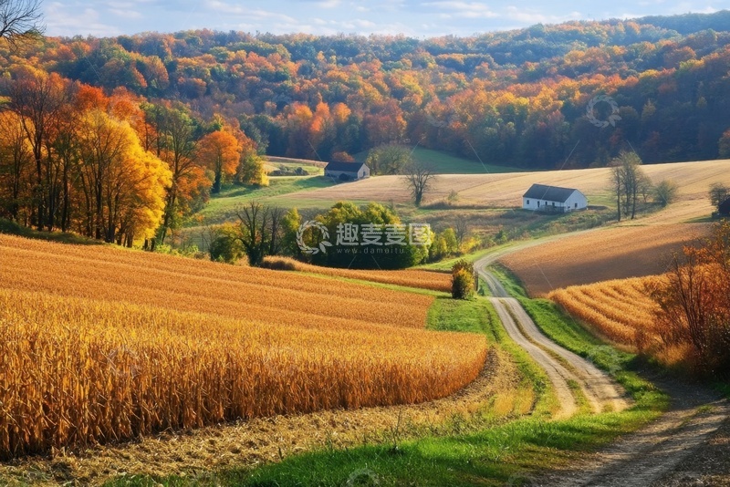 高清大图下载【趣麦麦图】秋季丰收的麦田农田