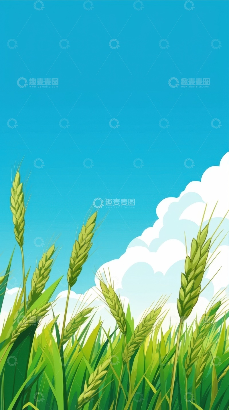 手绘简约蓝天白云青麦农田