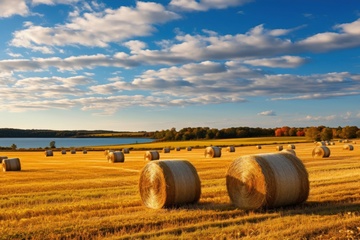 农田里卷起的草垛摄影