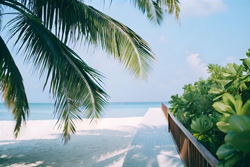 海岛沙滩栈道海景