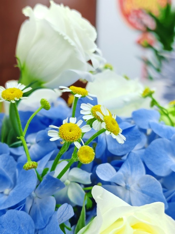 花束，白玫瑰，蓝绣球，绿叶，2