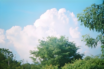 蓝天云树郊野风景