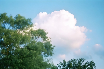 蓝天云树自然风景