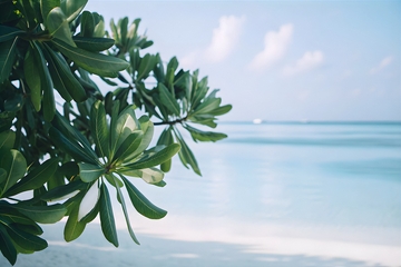 海岛海滨度假风光