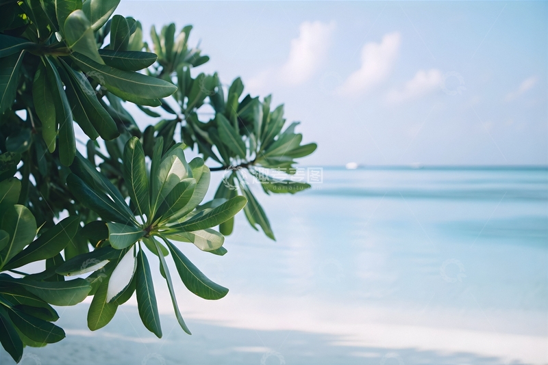 高清大图下载【趣麦麦图】海岛海滨度假风光