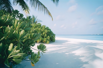 海岛海滨度假风光